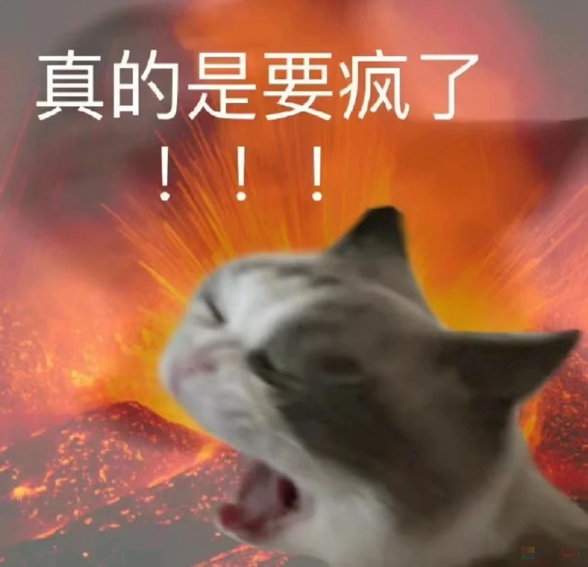 “打开外卖是国潮包装和黑色液体勺，就知道这顿又不干不净了”469 / 作者:儿时的回忆 / 帖子ID:316625