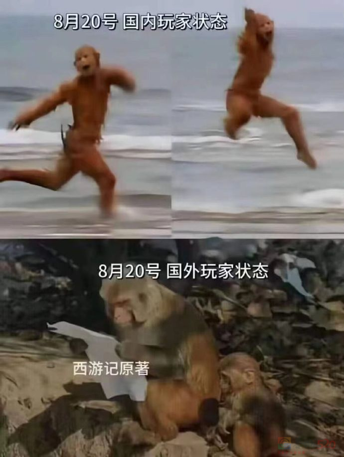 第一批玩《黑神话：悟空》的外国网友，已经被逼疯了…中国网友：你们也有今天哈哈哈哈哈195 / 作者:放眼看世界 / 帖子ID:316670