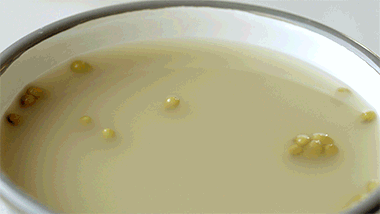 亲妈级绿豆汤，谁喝谁享受。452 / 作者:爱生活爱美食 / 帖子ID:316674