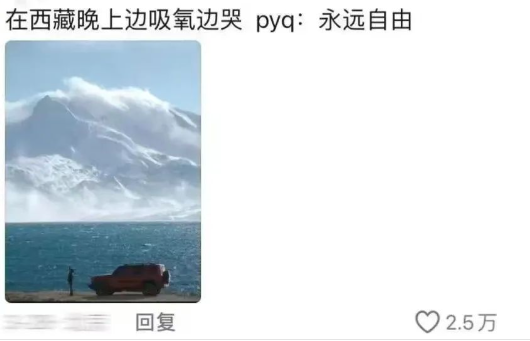 “毛坯的人生，精装的朋友圈”，00后自曝的诈骗式出片太好笑352 / 作者:儿时的回忆 / 帖子ID:316735