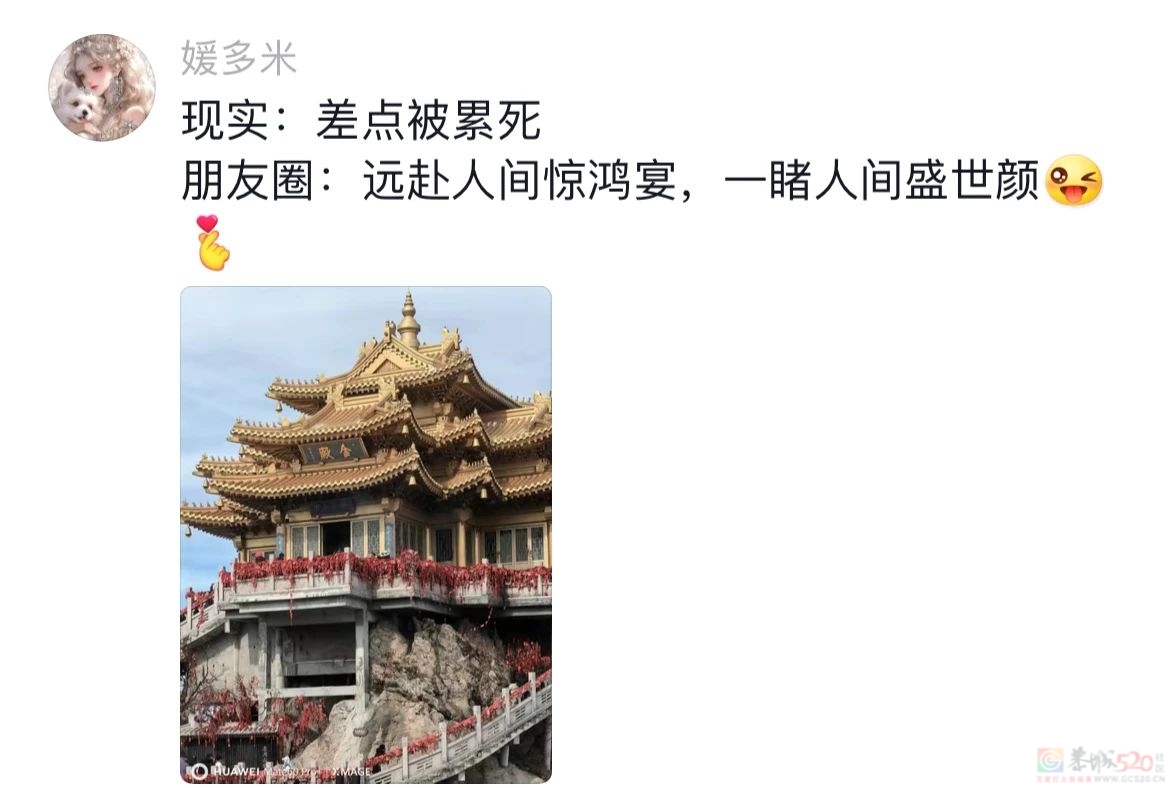 “毛坯的人生，精装的朋友圈”，00后自曝的诈骗式出片太好笑872 / 作者:儿时的回忆 / 帖子ID:316735