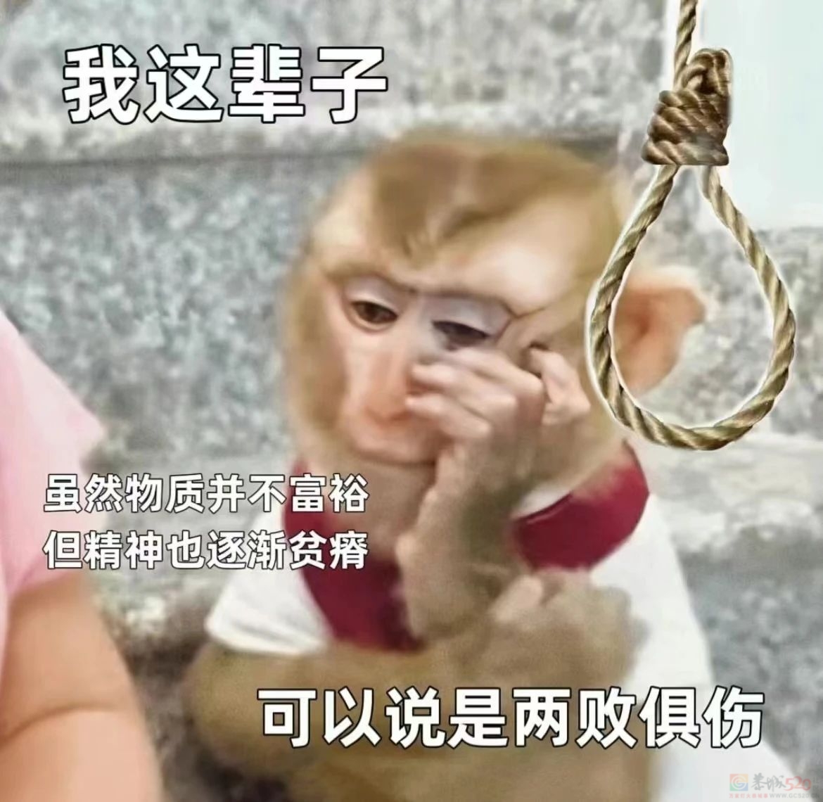 “毛坯的人生，精装的朋友圈”，00后自曝的诈骗式出片太好笑814 / 作者:儿时的回忆 / 帖子ID:316735