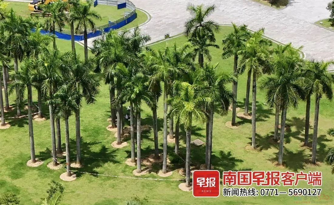高温将反扑！广西局地最高气温将飙至37℃，桂林最高气温36℃。600 / 作者:尹以为荣 / 帖子ID:316737