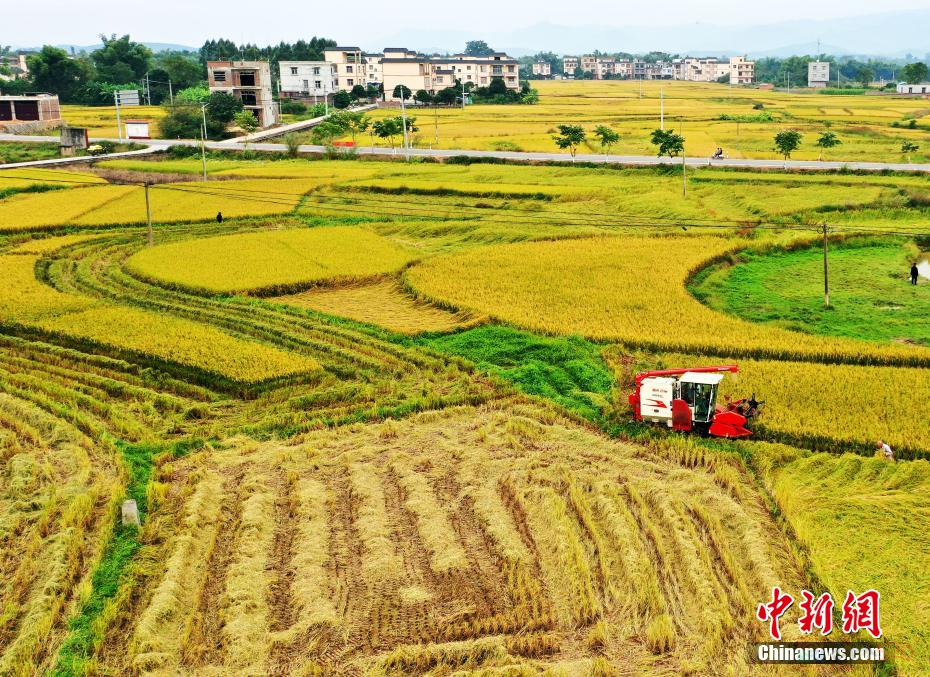 广西60个县（市、区）获通报表扬，最高可获500万元奖励118 / 作者:尹以为荣 / 帖子ID:316766