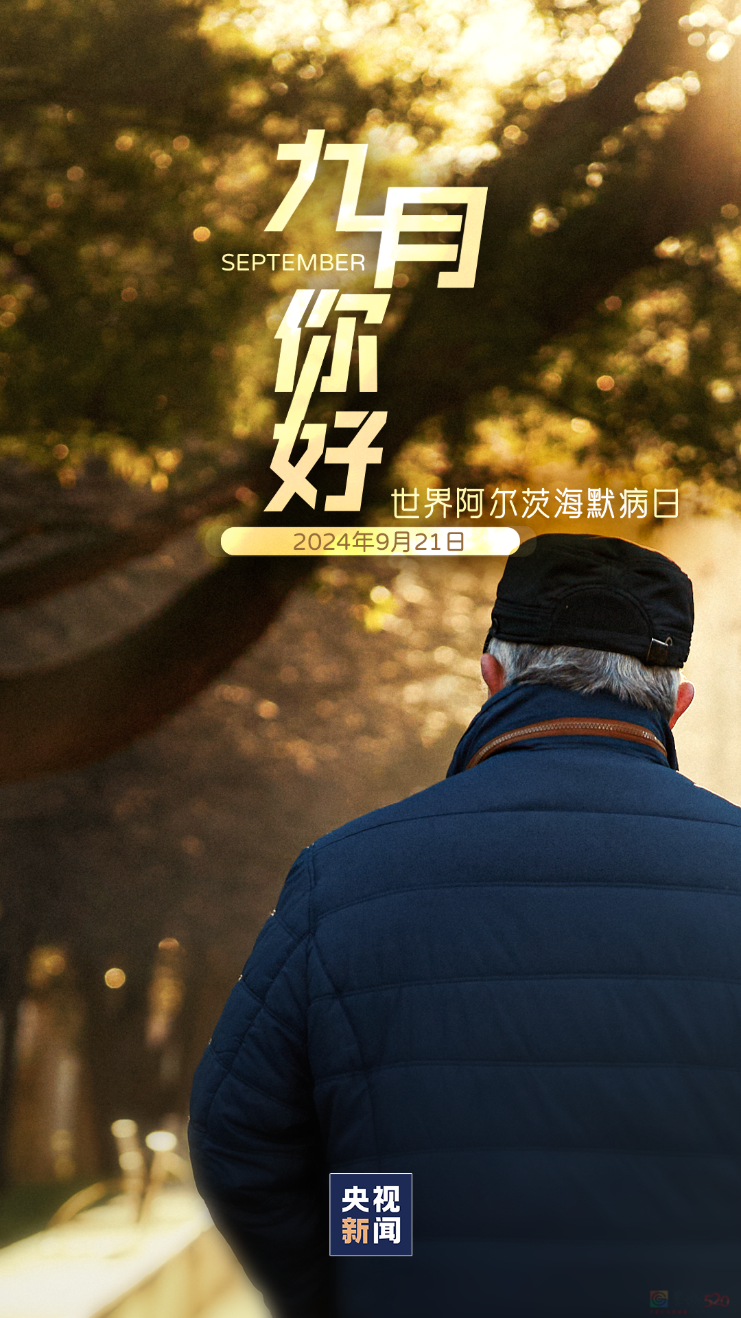 9月，你好！307 / 作者:登山涉水 / 帖子ID:316818