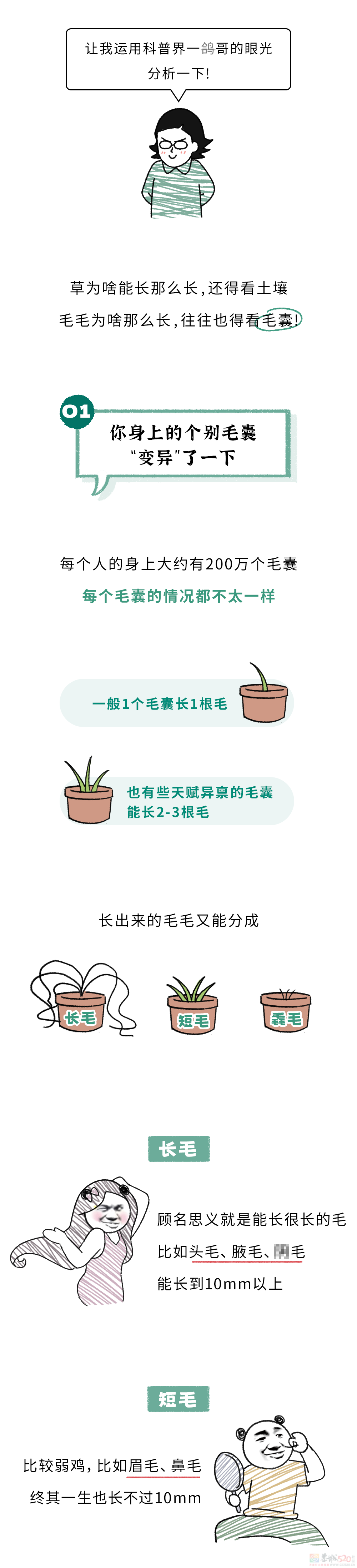 为啥身上会长出一两根特别长的毛毛？？？135 / 作者:儿时的回忆 / 帖子ID:316916