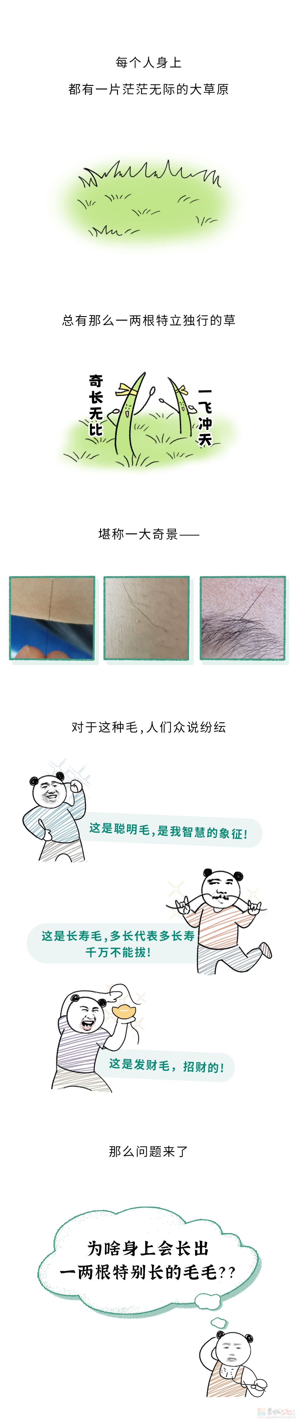为啥身上会长出一两根特别长的毛毛？？？702 / 作者:儿时的回忆 / 帖子ID:316916