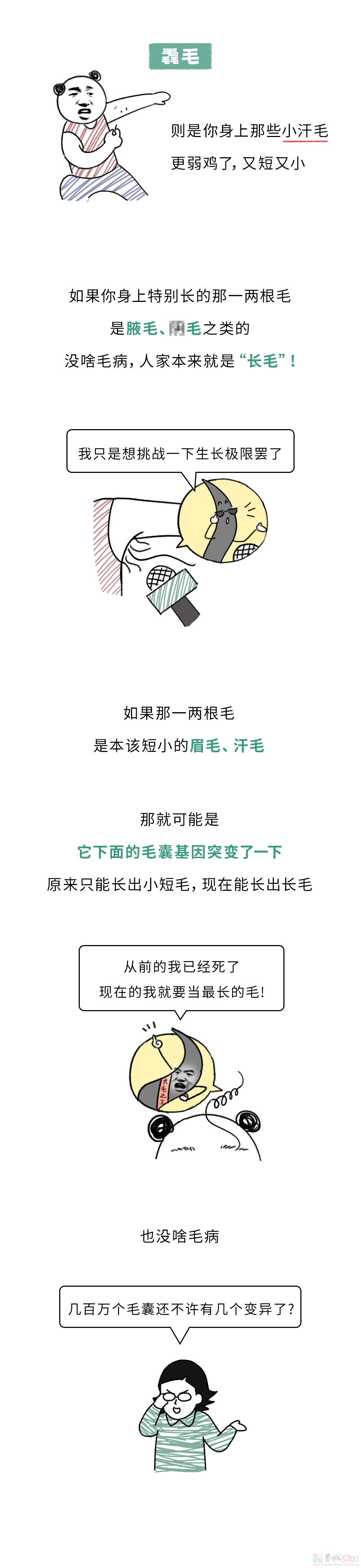 为啥身上会长出一两根特别长的毛毛？？？294 / 作者:儿时的回忆 / 帖子ID:316916