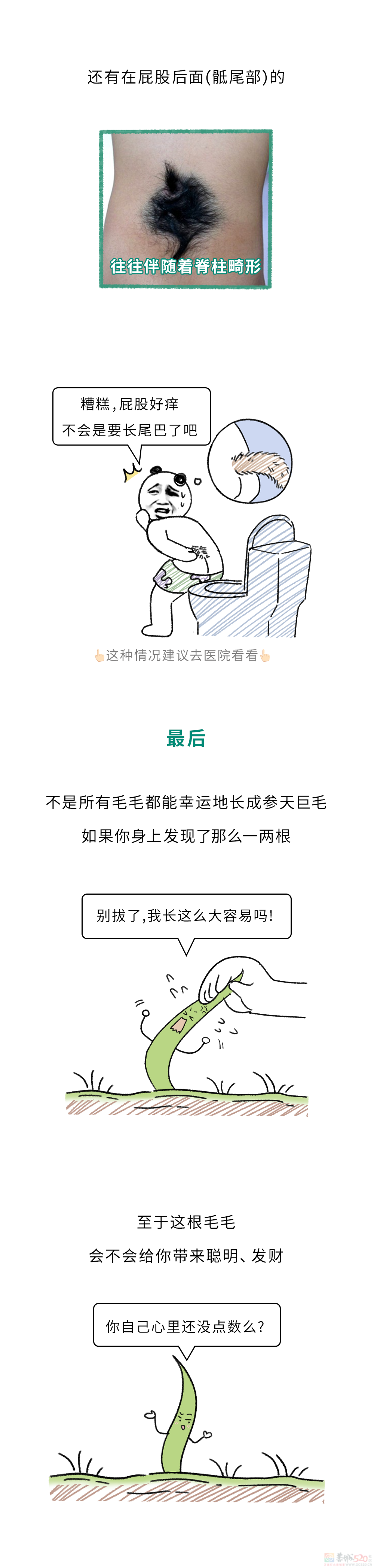 为啥身上会长出一两根特别长的毛毛？？？802 / 作者:儿时的回忆 / 帖子ID:316916