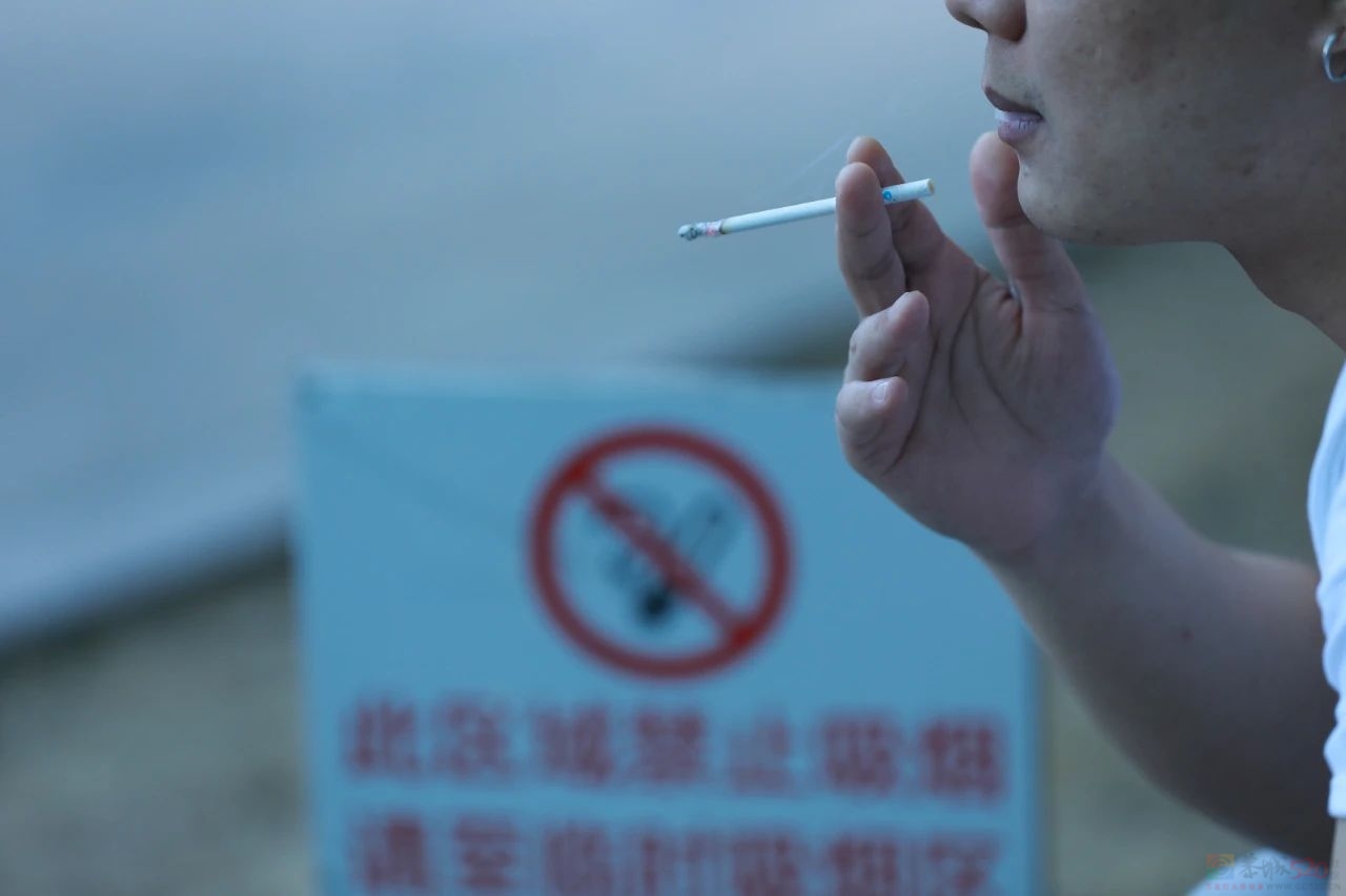 近10厘米长，血管斑块比筷子还粗！血管斑块最偏爱这6类人！828 / 作者:健康小天使 / 帖子ID:317051