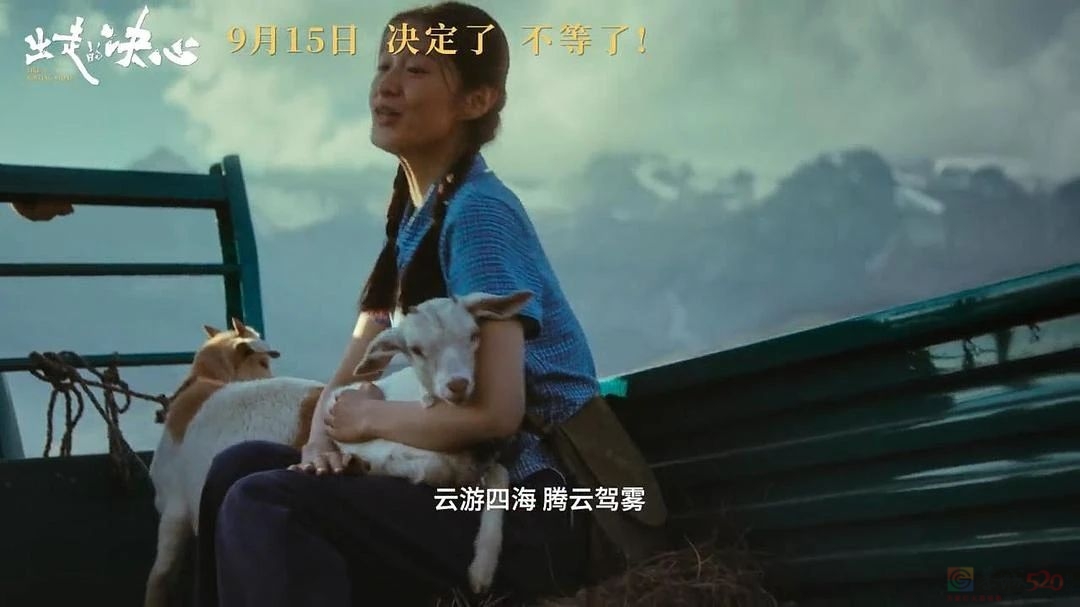 她被骂“人设崩塌”，却是今年荧幕上真实到残忍的“中式女儿”608 / 作者:该做的事情 / 帖子ID:317071