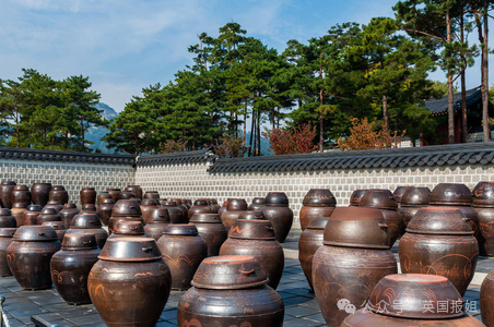 韩国香蕉牛奶申遗！议员力推50年老字号成“国家级文物”，网友：那老干妈、椰奶、北冰洋也行咯？130 / 作者:放眼看世界 / 帖子ID:317140