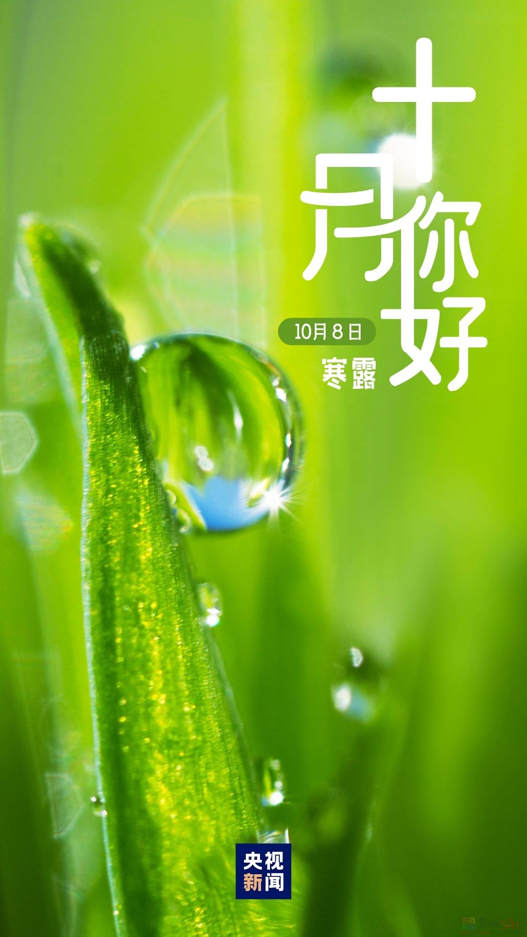 十月，你好！145 / 作者:登山涉水 / 帖子ID:317226