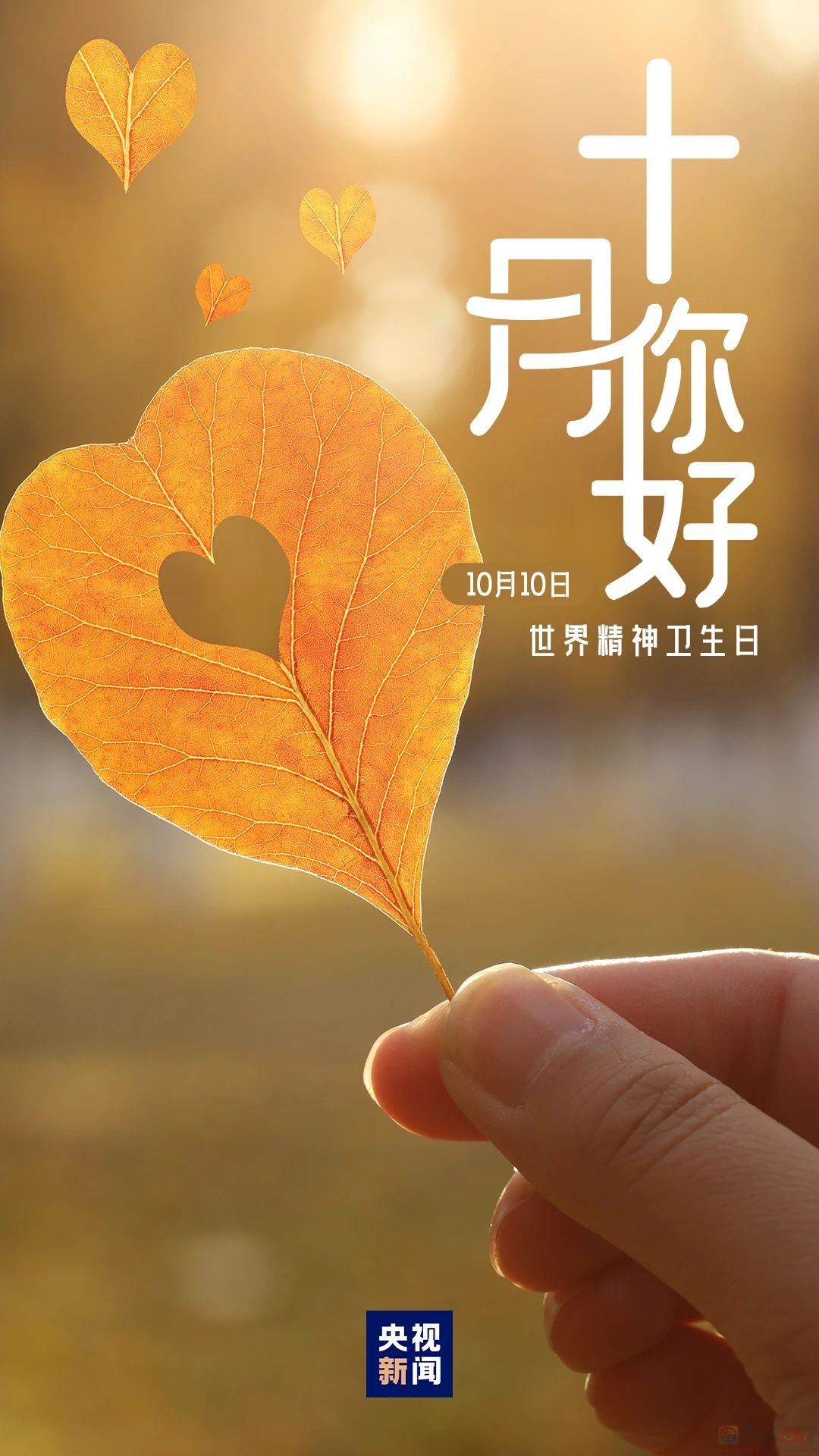 十月，你好！945 / 作者:登山涉水 / 帖子ID:317226