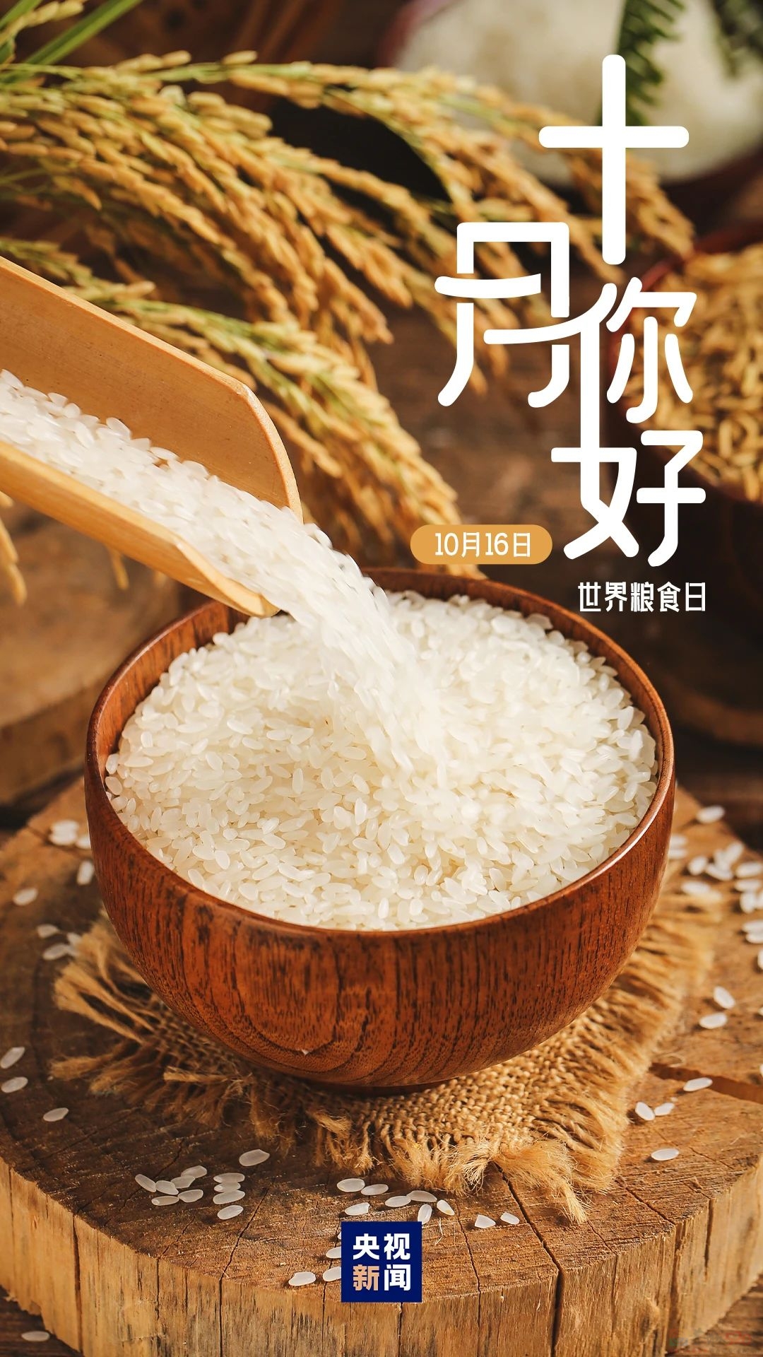 十月，你好！178 / 作者:登山涉水 / 帖子ID:317226
