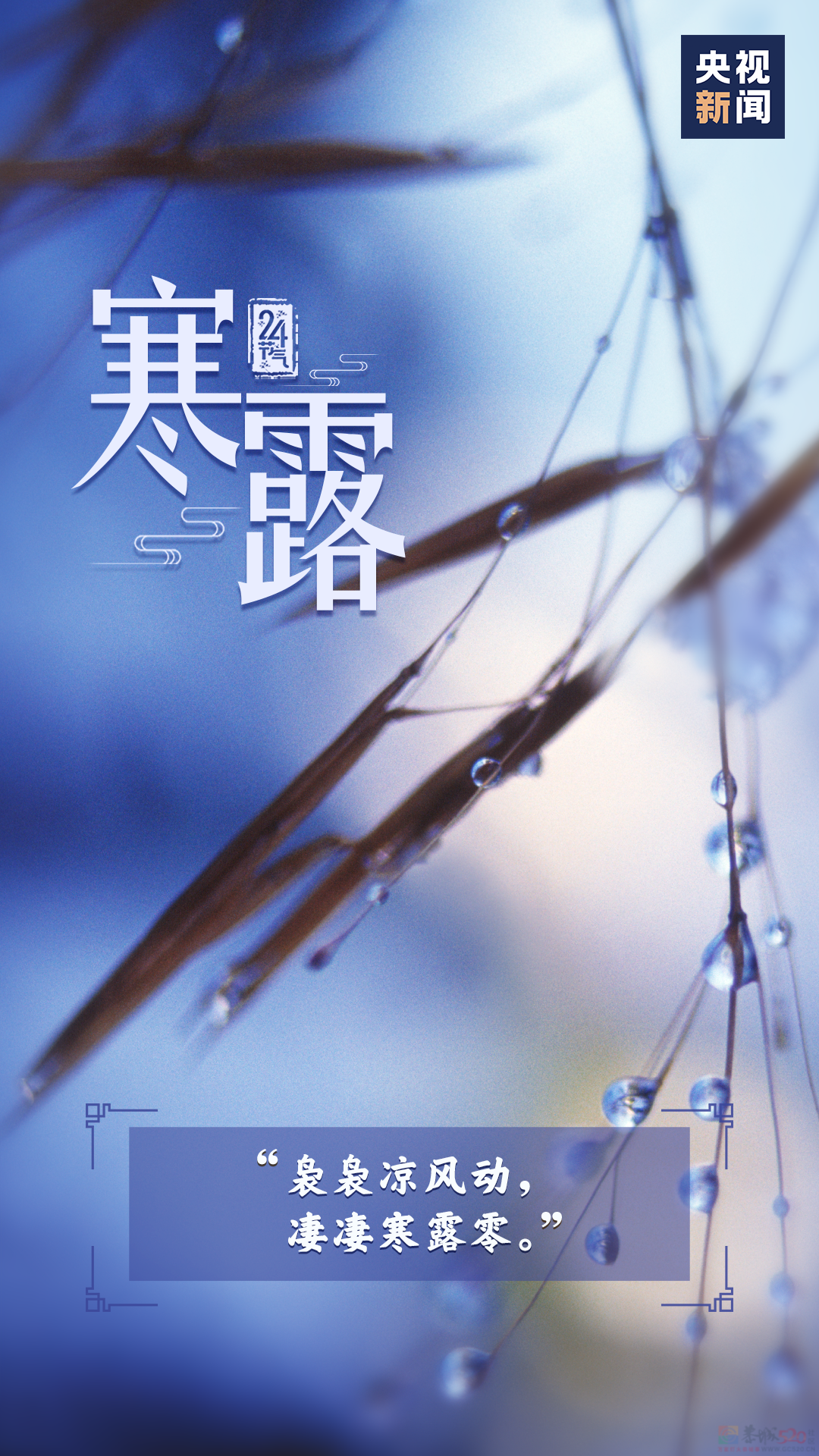 今日，寒露130 / 作者:登山涉水 / 帖子ID:317310