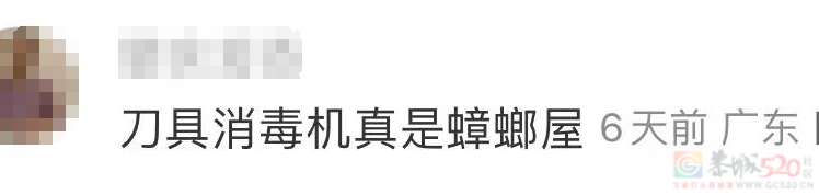 卖爆后“二手贱卖没人要”，网红小家电的“精致税”割不动了569 / 作者:儿时的回忆 / 帖子ID:317314