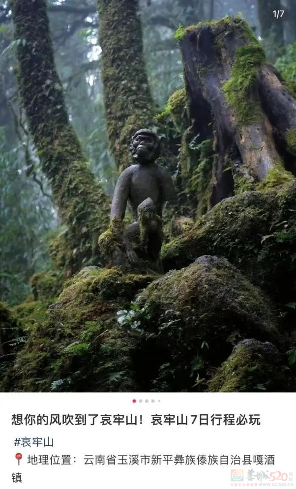 在热搜上被传得神秘邪乎，哀牢山越火、当地文旅越慌7 / 作者:儿时的回忆 / 帖子ID:317370