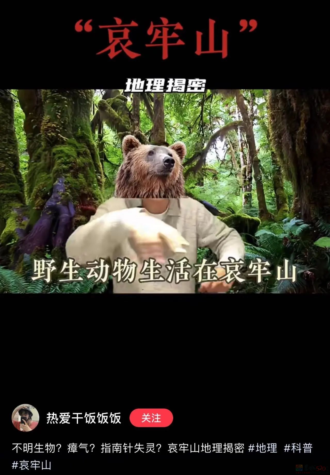 在热搜上被传得神秘邪乎，哀牢山越火、当地文旅越慌395 / 作者:儿时的回忆 / 帖子ID:317370