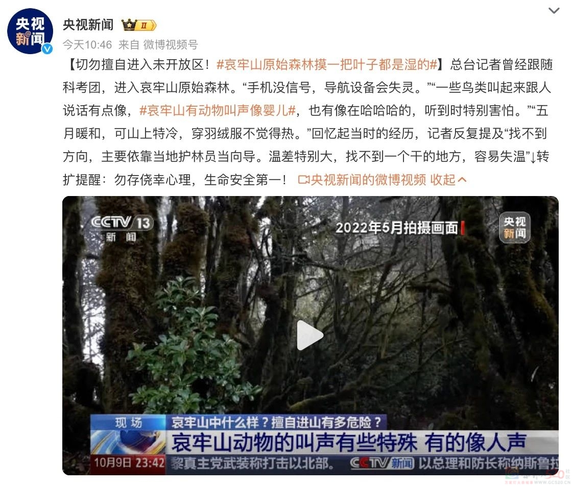 在热搜上被传得神秘邪乎，哀牢山越火、当地文旅越慌696 / 作者:儿时的回忆 / 帖子ID:317370
