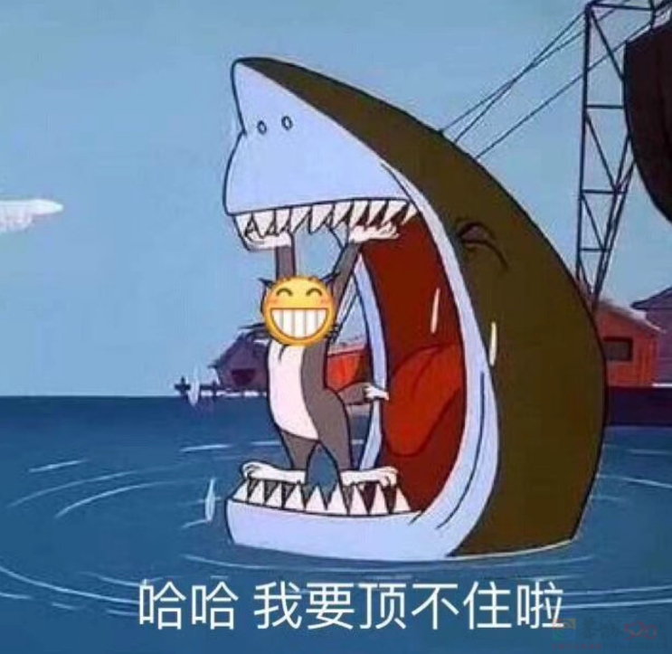 用上新晋“纯恨表情包”的打工人，已经把领导阴阳得找不到北了842 / 作者:儿时的回忆 / 帖子ID:317388