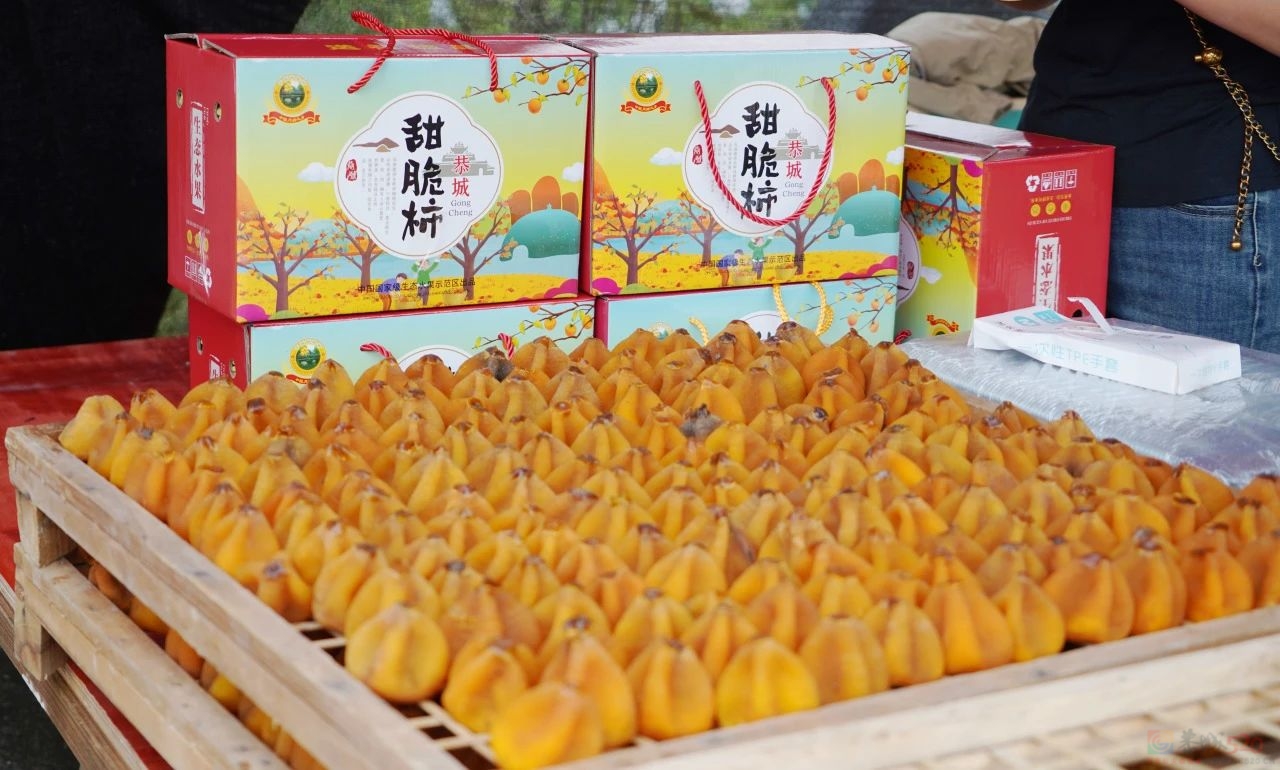 大美恭城 共享盛柿——第二十一届桂林恭城月柿节隆重开幕啦！978 / 作者:论坛小编01 / 帖子ID:317460