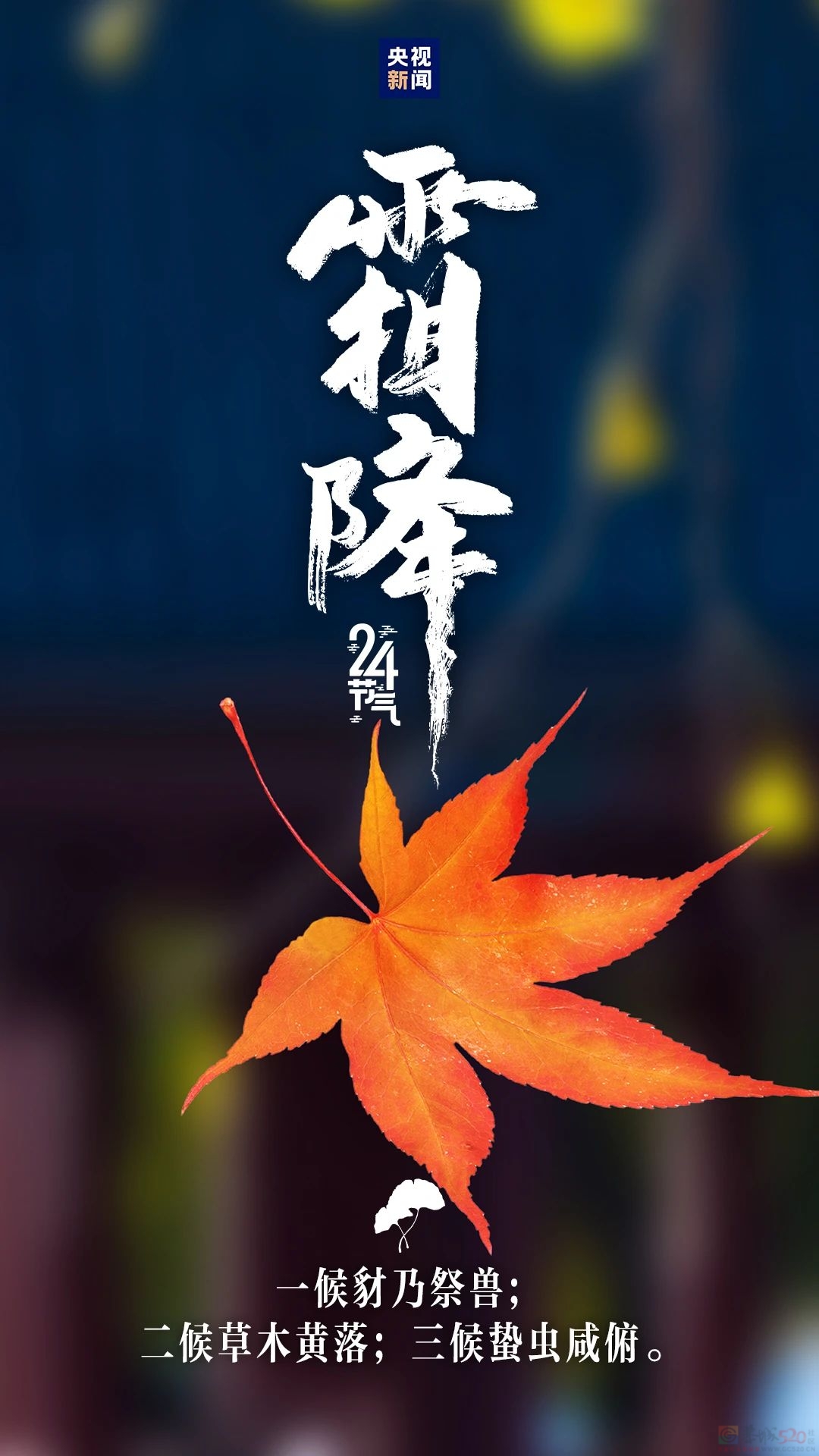 秋季最后一个节气，来了~82 / 作者:登山涉水 / 帖子ID:317504