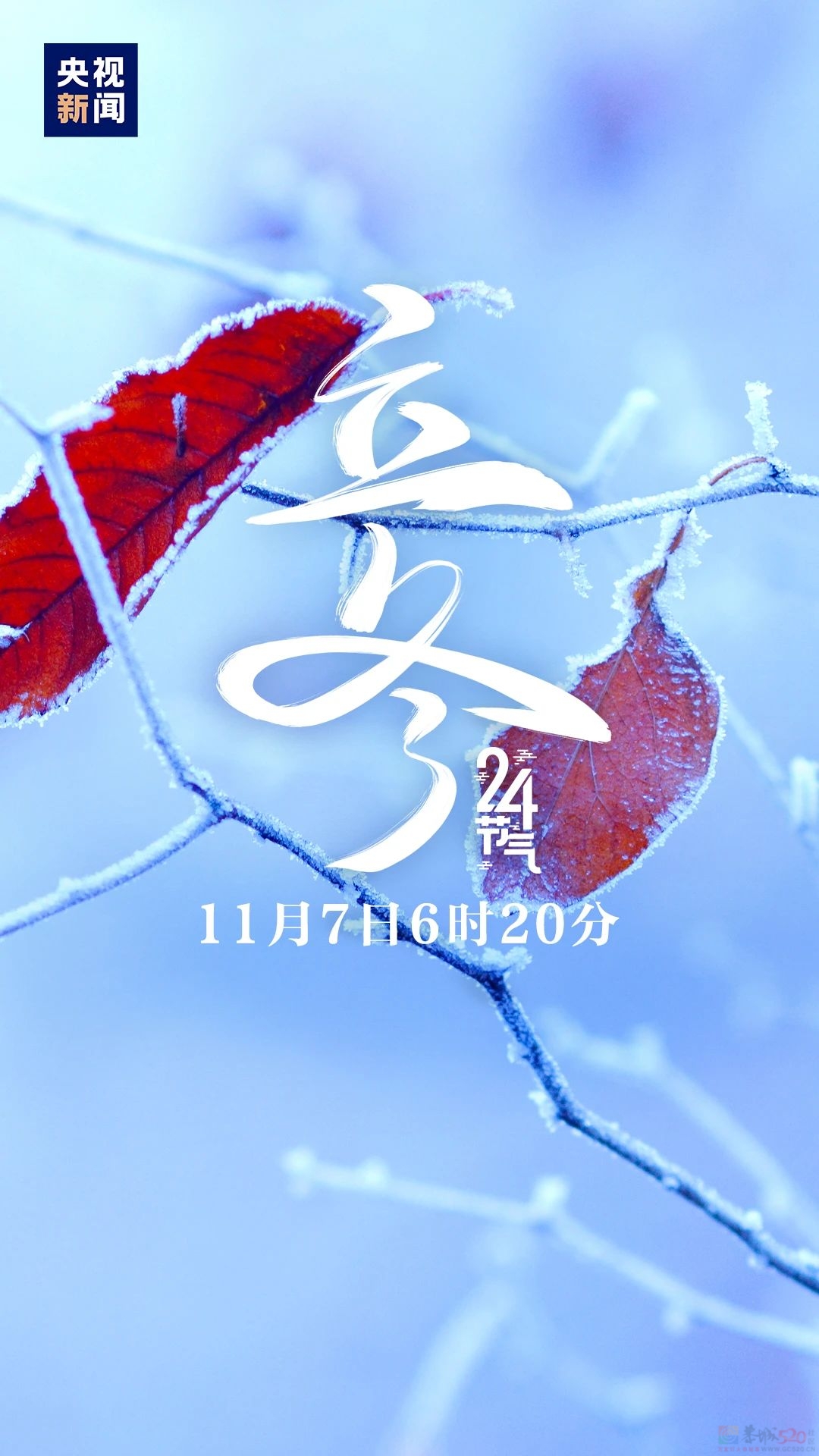 冬天的第一个节气，来了！703 / 作者:登山涉水 / 帖子ID:317694