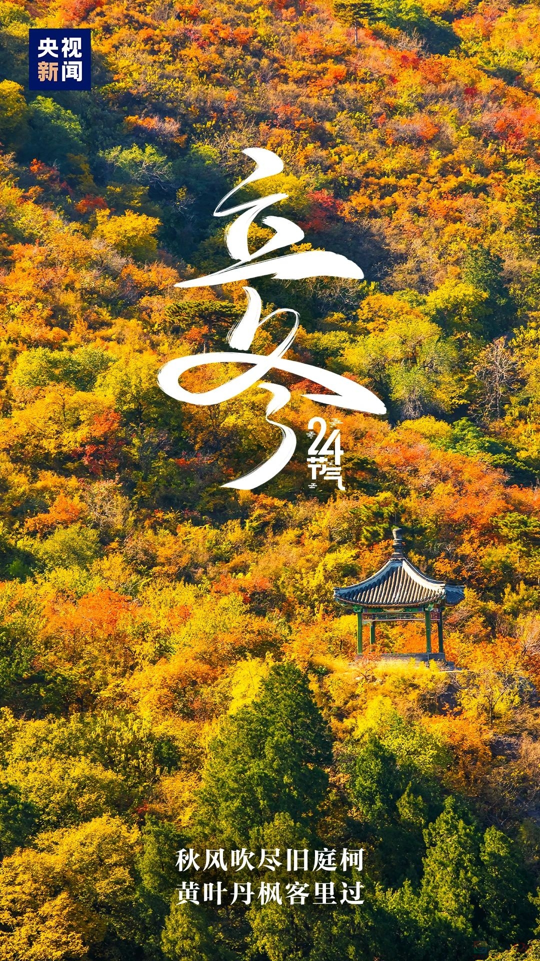 冬天的第一个节气，来了！75 / 作者:登山涉水 / 帖子ID:317694
