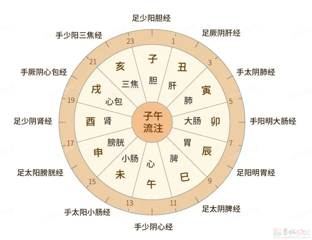 总在半夜同一个时间醒来，是怎么回事？308 / 作者:健康小天使 / 帖子ID:317717