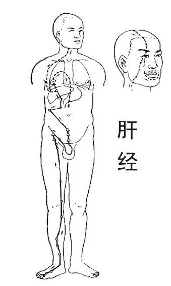 总在半夜同一个时间醒来，是怎么回事？278 / 作者:健康小天使 / 帖子ID:317717