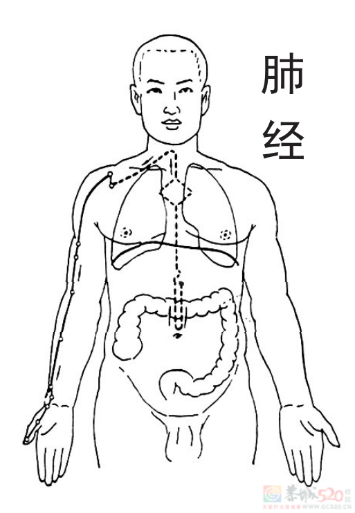 总在半夜同一个时间醒来，是怎么回事？892 / 作者:健康小天使 / 帖子ID:317717