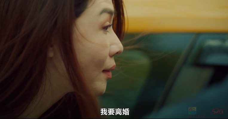 台剧天花板？对不起，她亲手拆了497 / 作者:该做的事情 / 帖子ID:317833