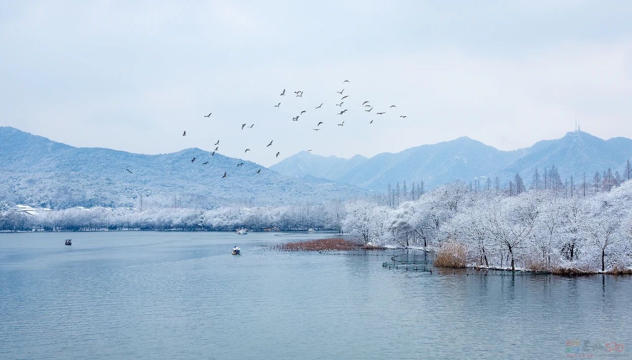 今日小雪784 / 作者:登山涉水 / 帖子ID:317898