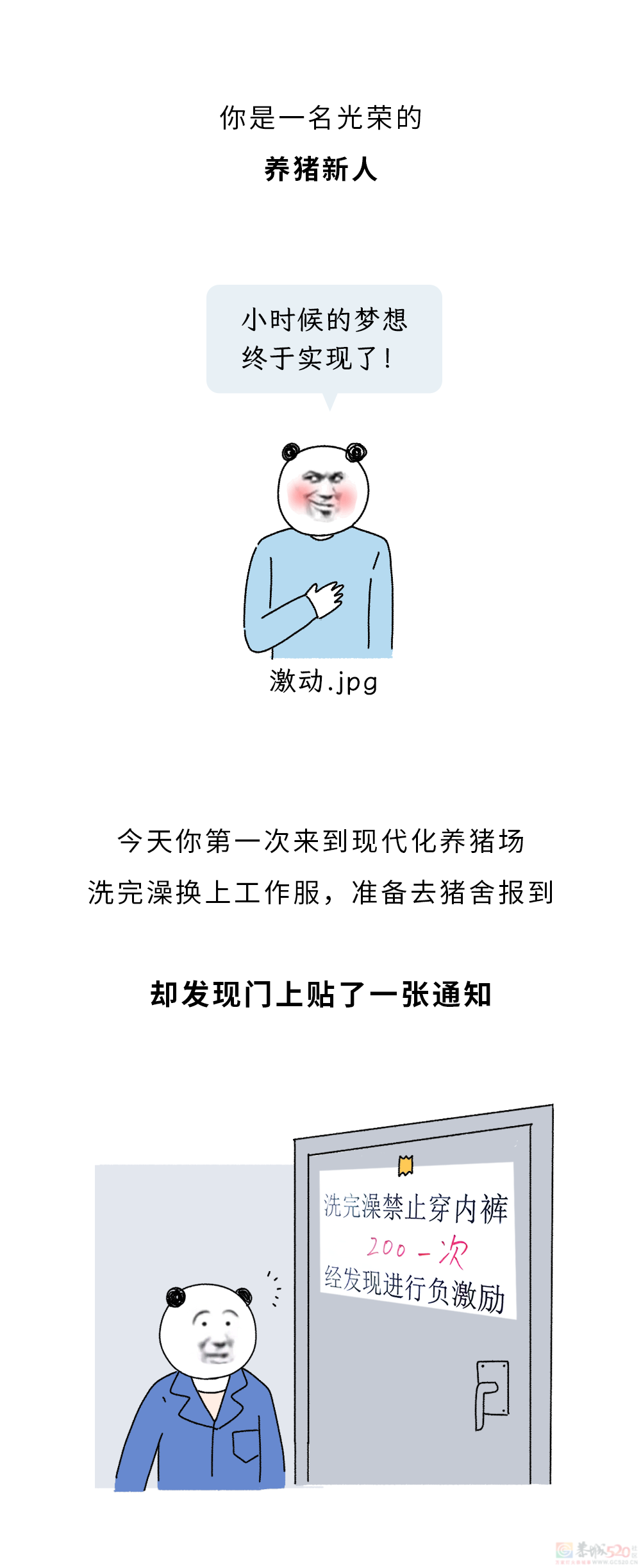 为什么不能在养猪场穿自己的内裤？2 / 作者:儿时的回忆 / 帖子ID:317907