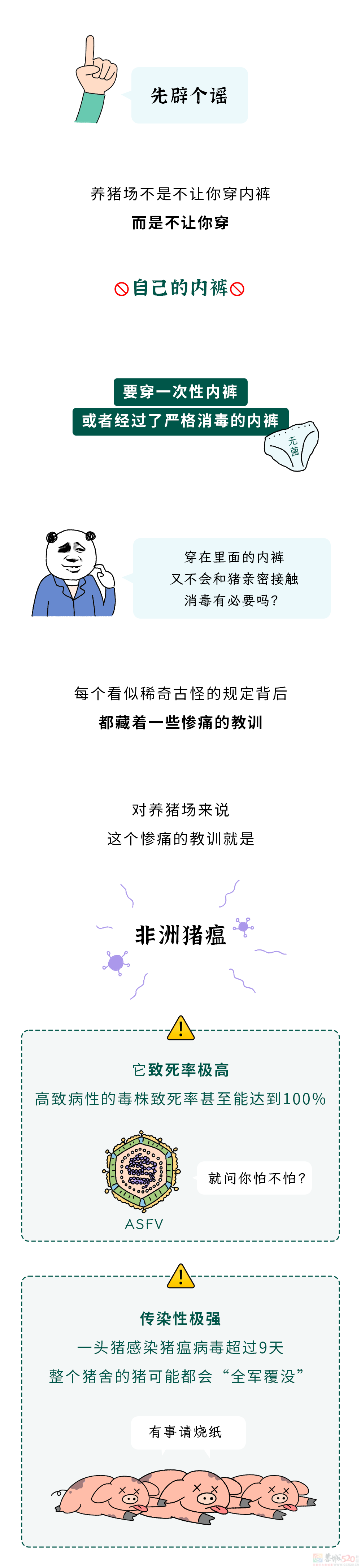 为什么不能在养猪场穿自己的内裤？41 / 作者:儿时的回忆 / 帖子ID:317907