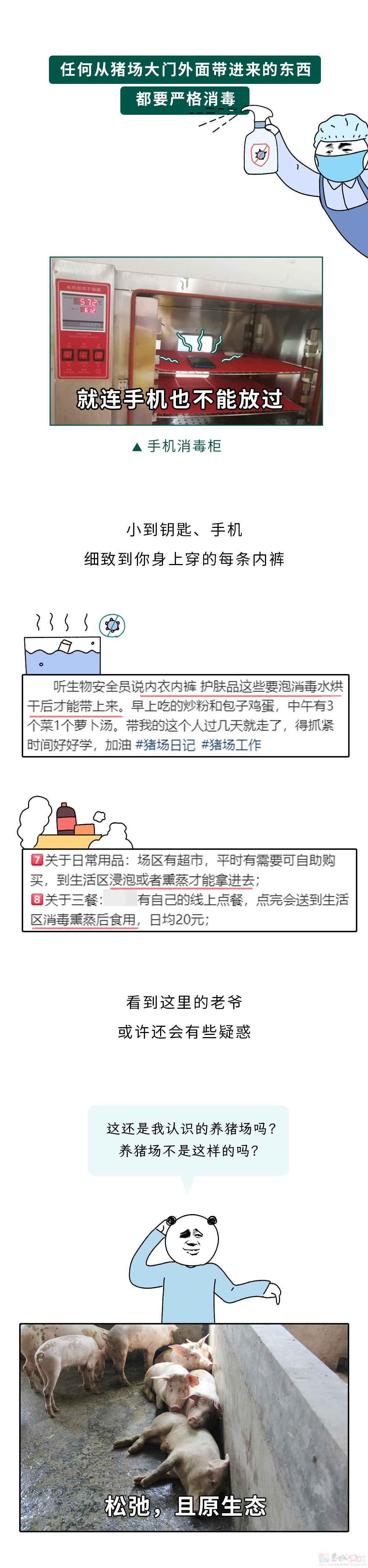 为什么不能在养猪场穿自己的内裤？595 / 作者:儿时的回忆 / 帖子ID:317907
