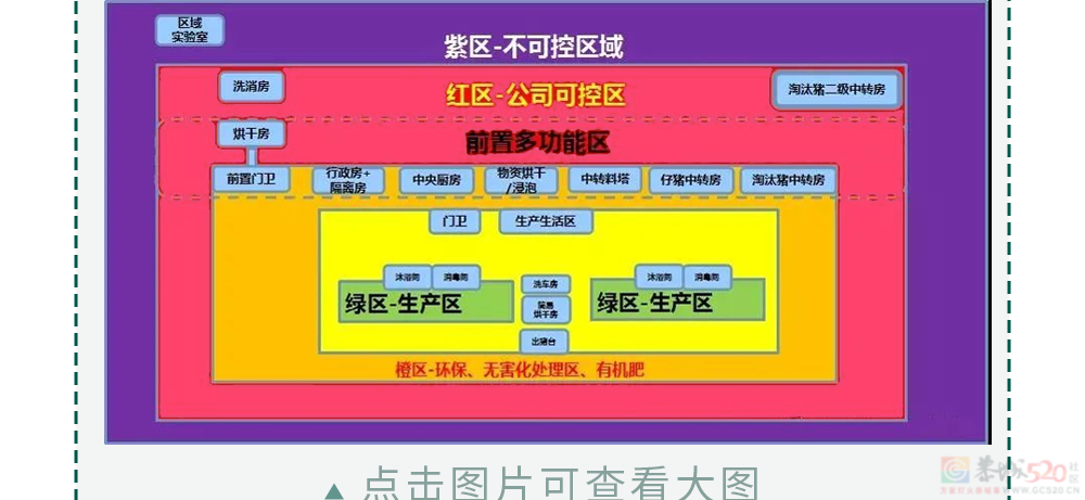 为什么不能在养猪场穿自己的内裤？9 / 作者:儿时的回忆 / 帖子ID:317907