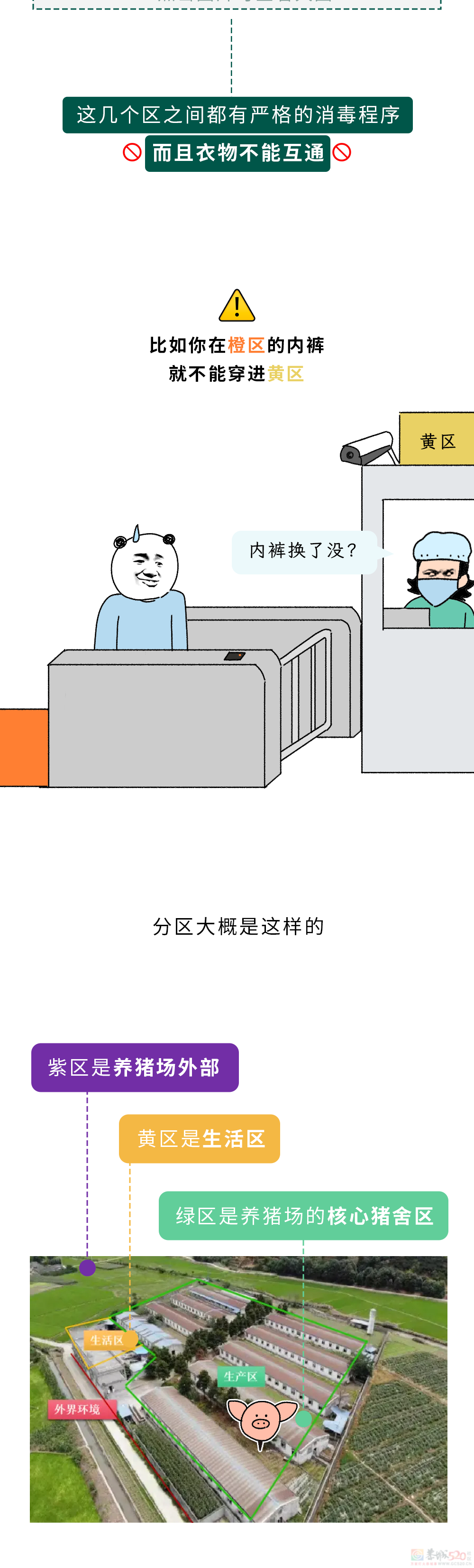 为什么不能在养猪场穿自己的内裤？773 / 作者:儿时的回忆 / 帖子ID:317907