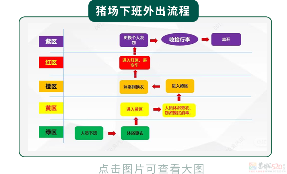 为什么不能在养猪场穿自己的内裤？542 / 作者:儿时的回忆 / 帖子ID:317907