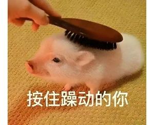 佘某（男，29岁），网上约炮，损失260000元！203 / 作者:尹以为荣 / 帖子ID:318006