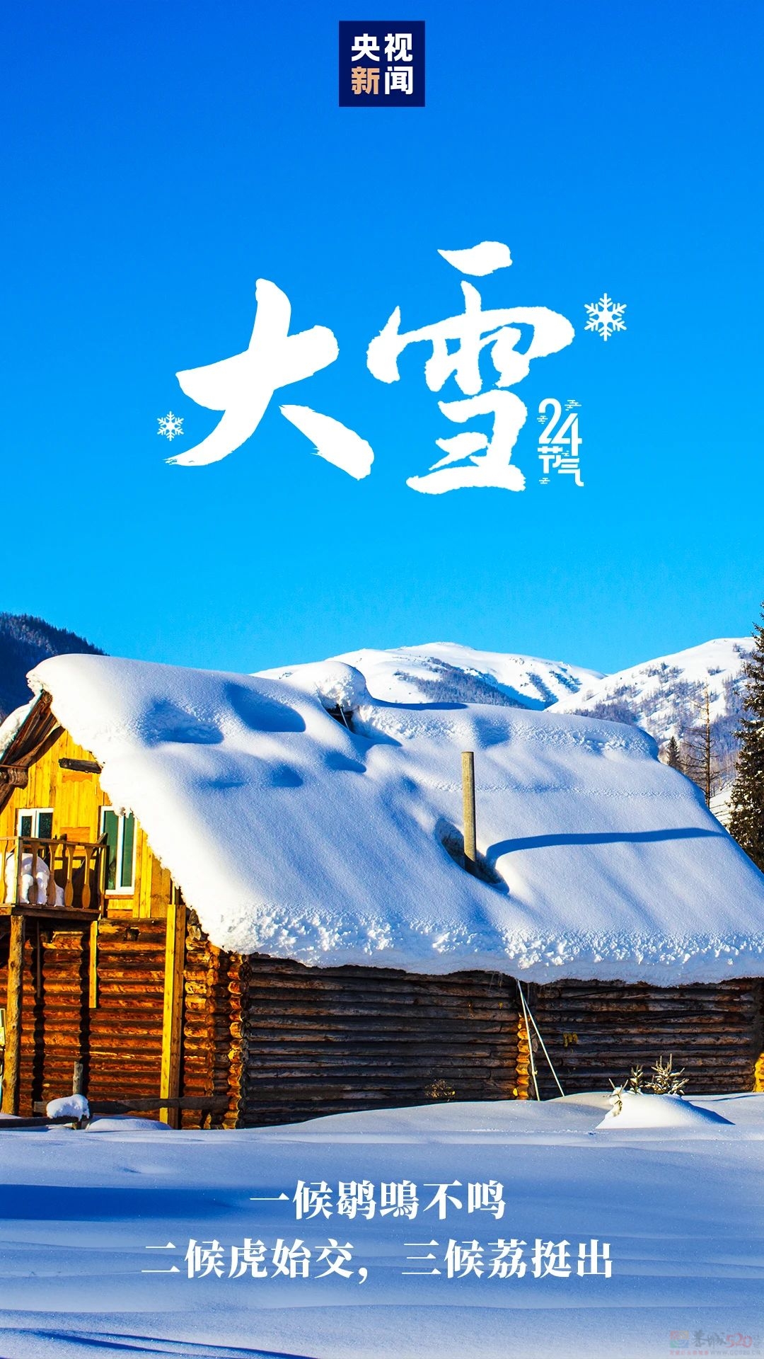 大雪来了！706 / 作者:登山涉水 / 帖子ID:318086