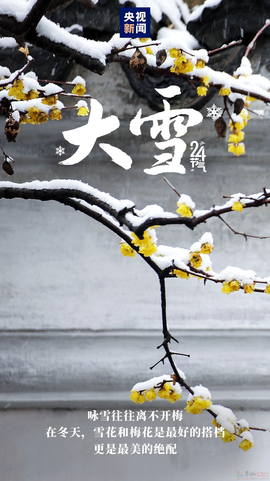 大雪来了！945 / 作者:登山涉水 / 帖子ID:318086