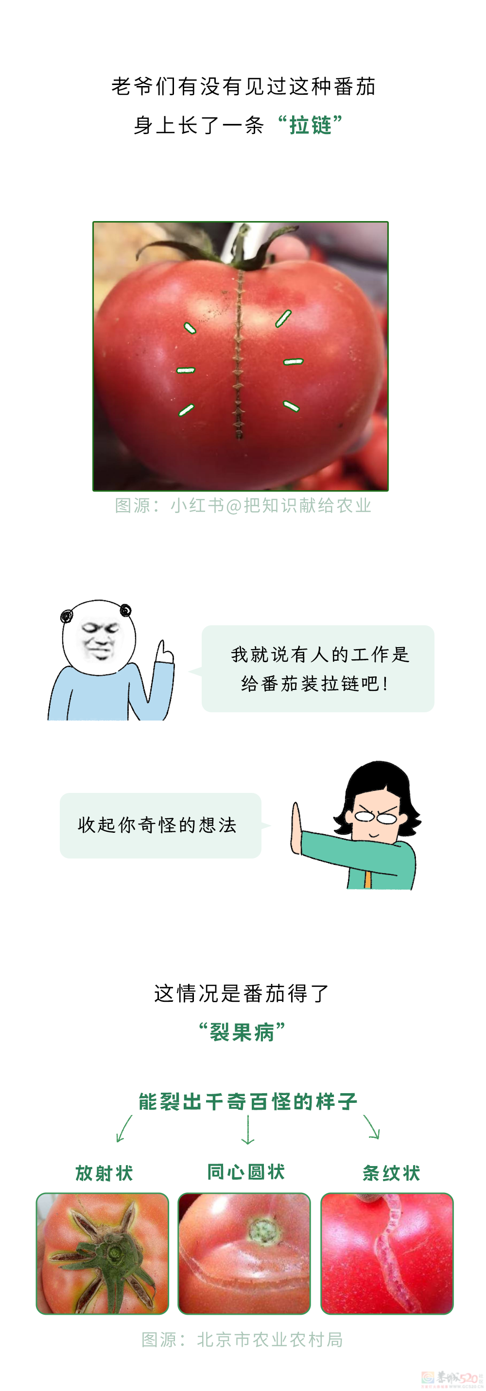 有哪些你以为坏了的菜，其实TM都能吃？!438 / 作者:儿时的回忆 / 帖子ID:318564