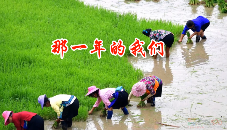 那一年的我们244 / 作者:恭城盛唐广告 / 帖子ID:320488