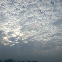 好无聊…