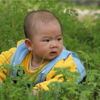 10年前的西岭小伙子，10年后的小伙子后代