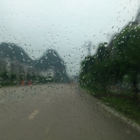 手机作品-雨季、烁影