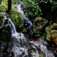 ] 那山那水