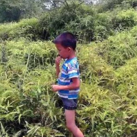 你们猜这个娃仔在吃什么